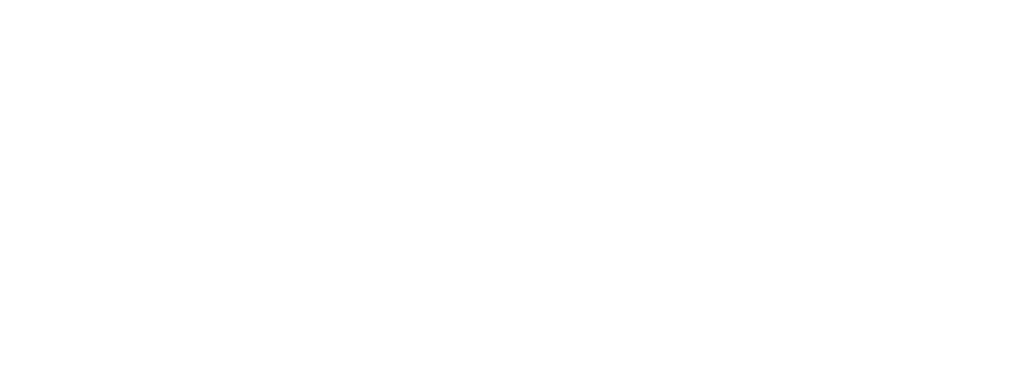 IMIC Logo
